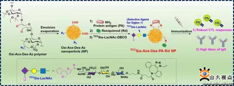 1669353560322861.jpg BABC6CD4D7D564A8BFDF0C6769A_87754957_1E3F4.jpg