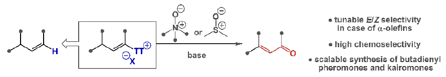 1669970097240592.png 圖片20.png