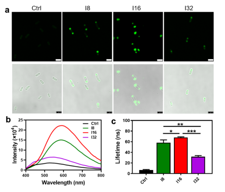 1670471036371402.png image.png