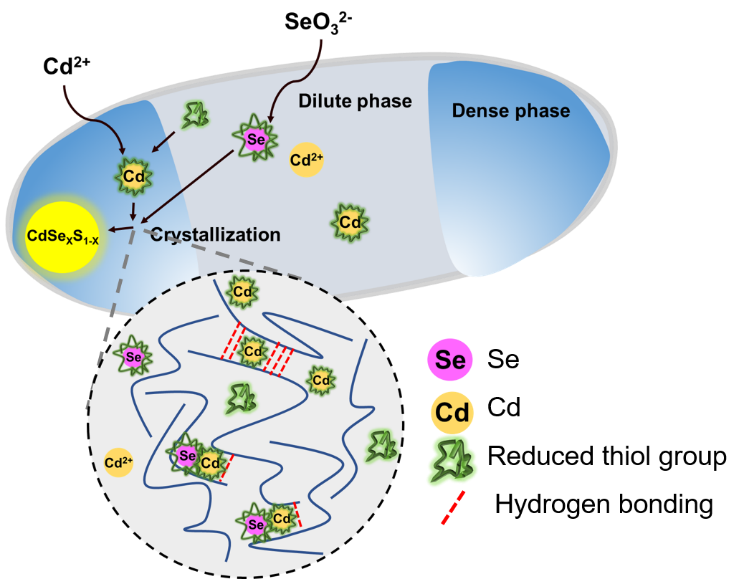 1670471059511731.png 20221202_095804_924.png