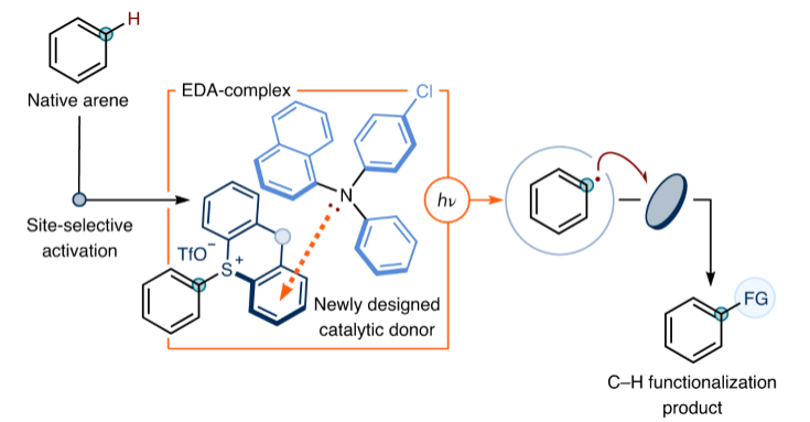 1672121979441851.png 圖片5.png