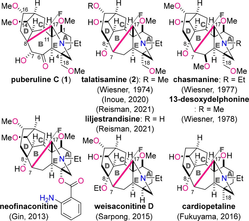 1672129361534990.png 圖片15.png