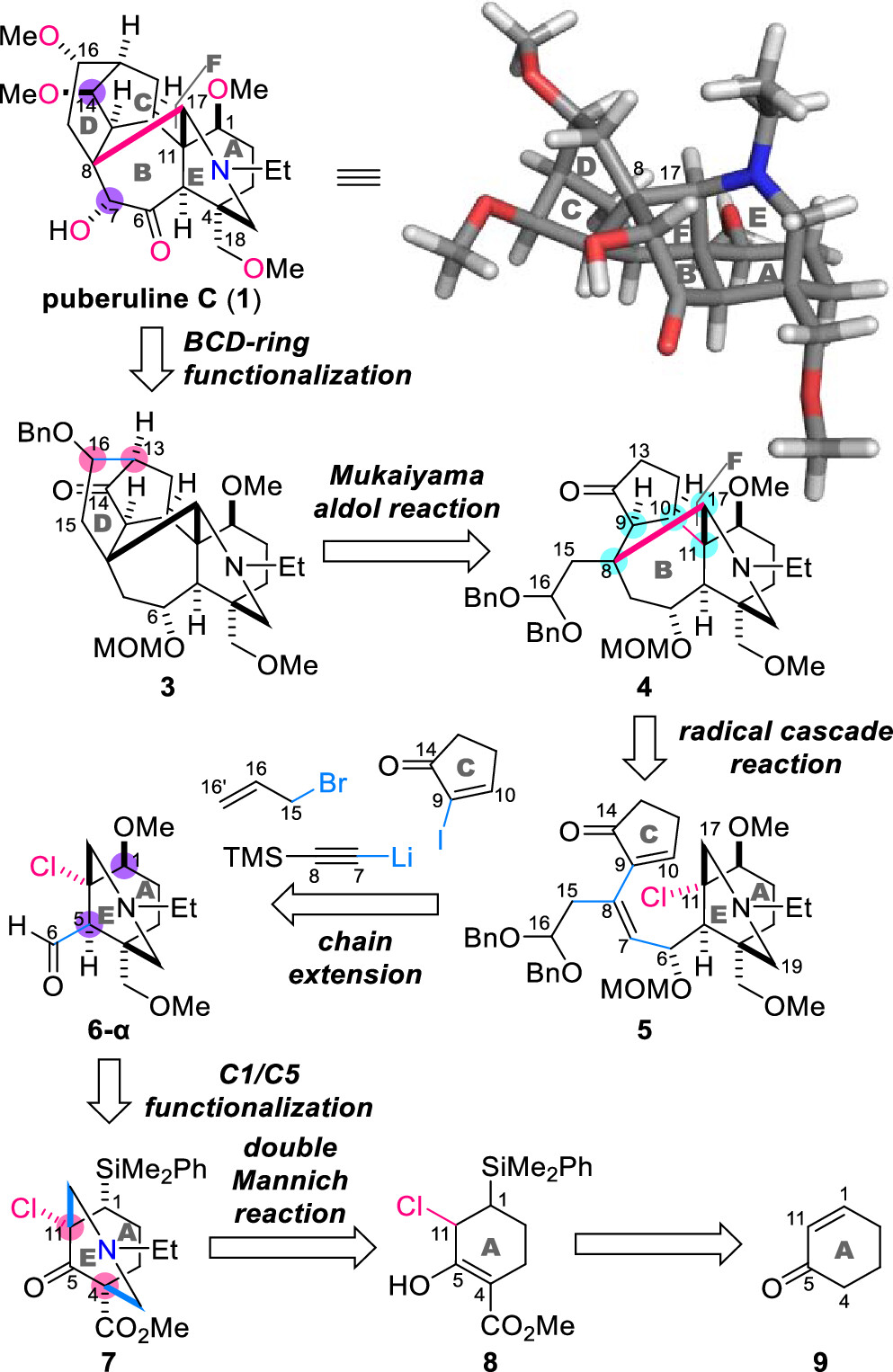 1672129369361848.png 圖片16.png