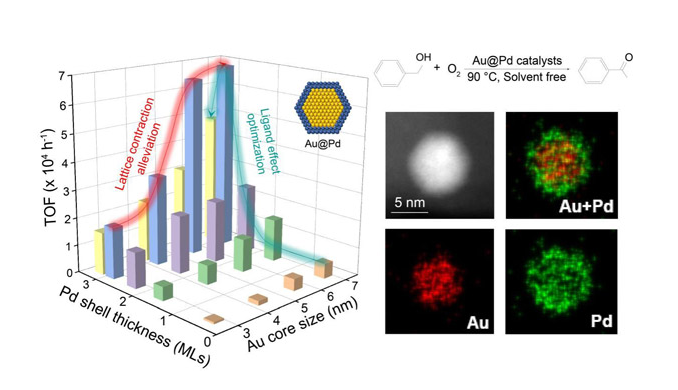 1675655584570790.png image.png