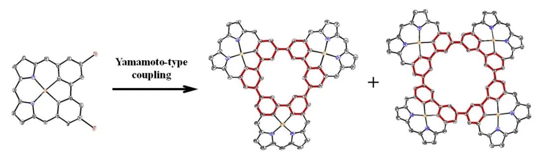 1675821313381186.jpg 2.jpg