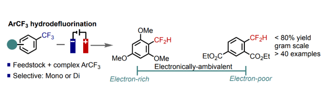 1676255486613565.png image.png