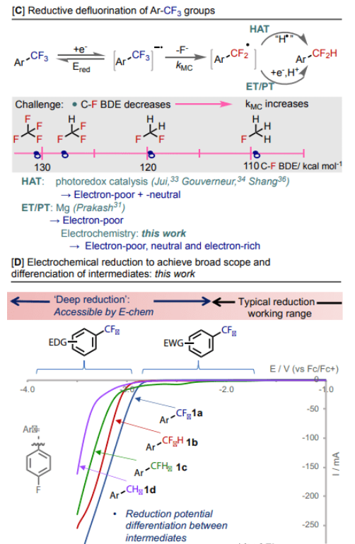 1676255880819167.png image.png