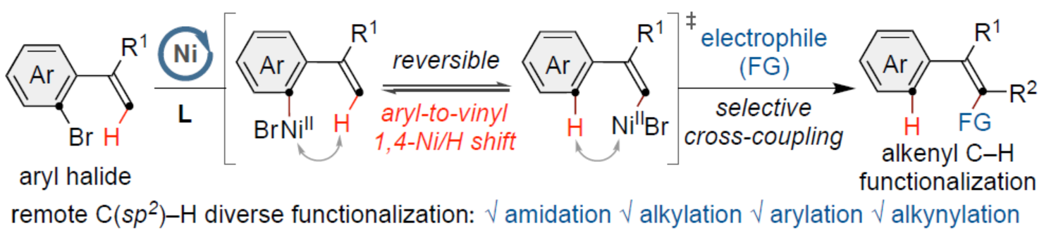 1683696943582803.png 圖片1.png