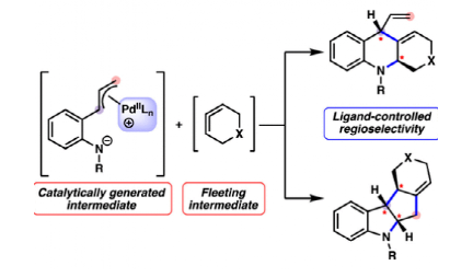 1683767711744386.png image.png