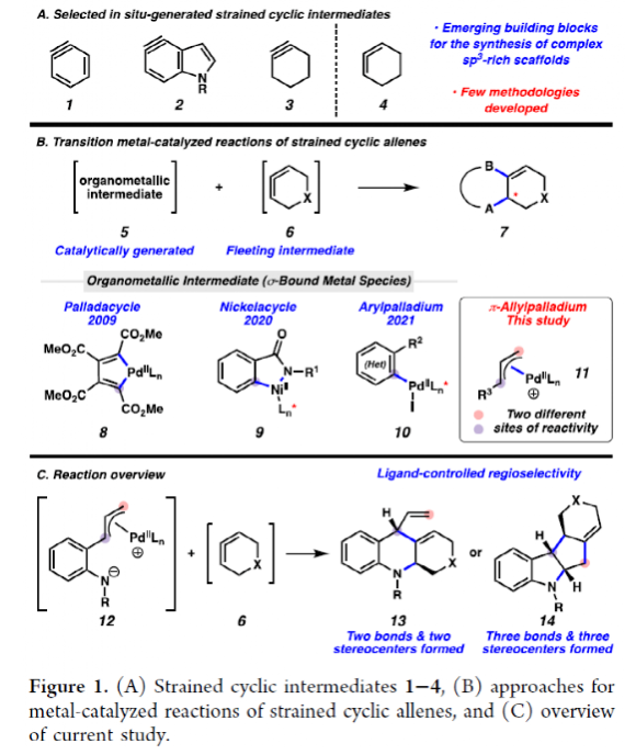 1683767724741459.png image.png