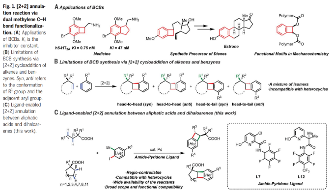 1684197947633145.png image.png