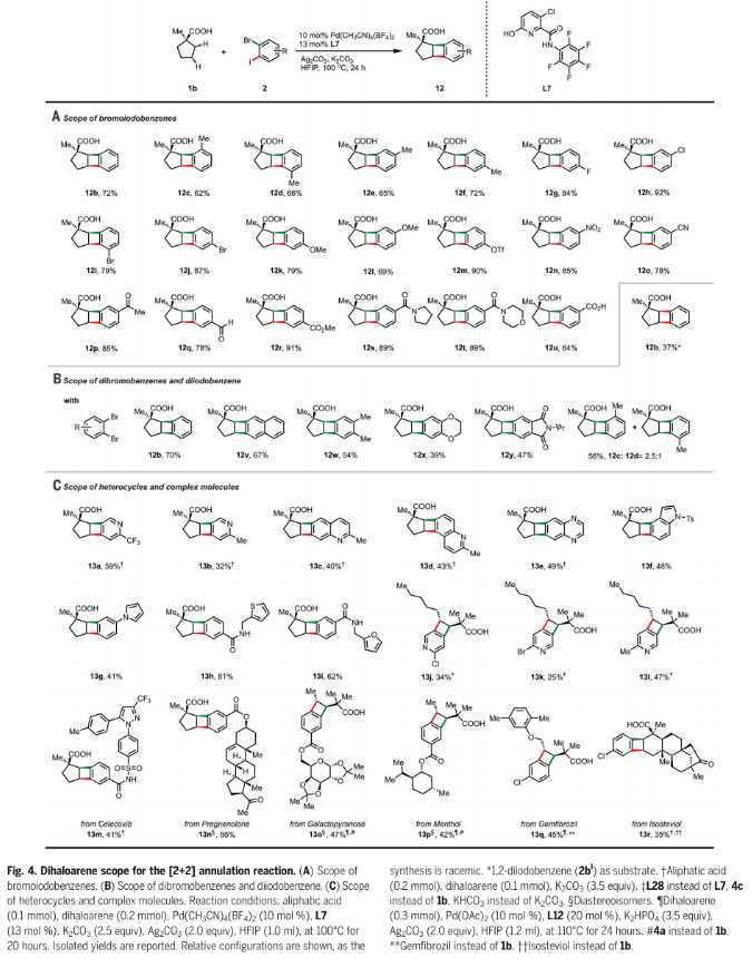 1684197988967325.png image.png