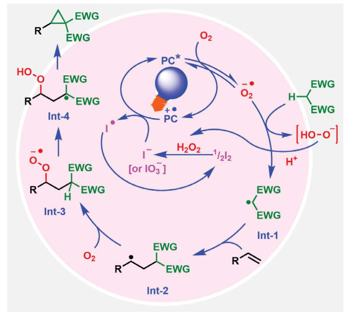 1691655728514220.png image.png