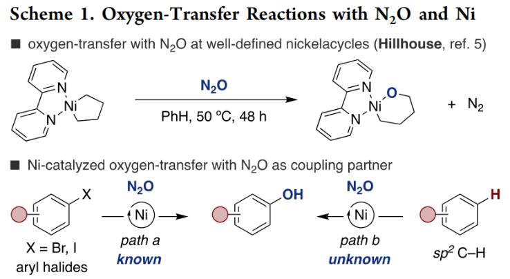 1691656167443612.png image.png