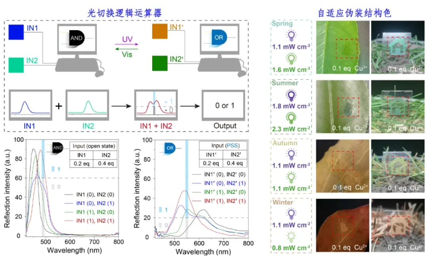 1693364985544261.png image.png