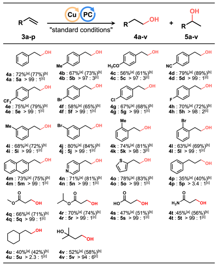 1693380554860697.png image.png