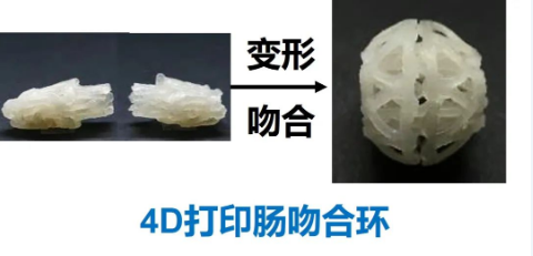 1696813392142668.png image.png