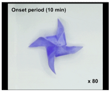 1696813432309616.png image.png