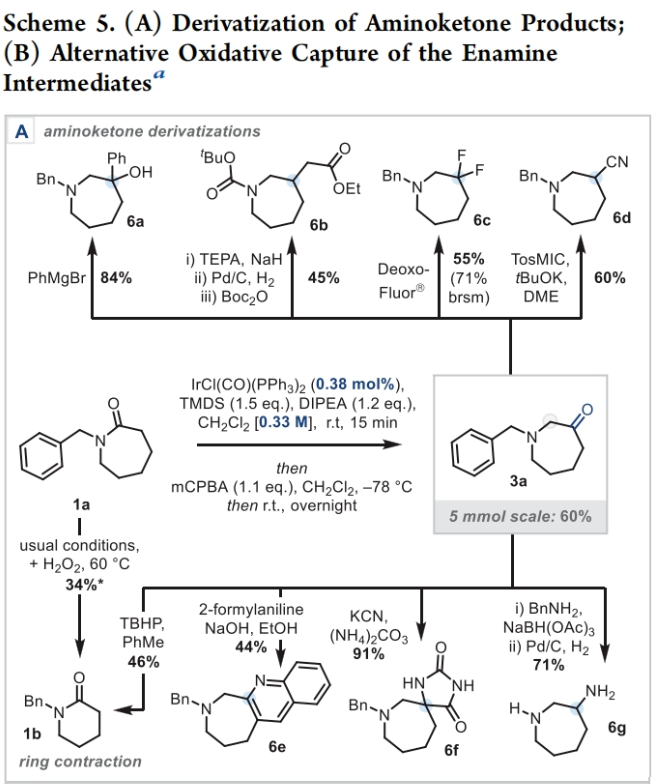 1696986082550181.png image.png