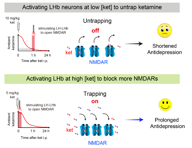 1697781985873763.png image.png