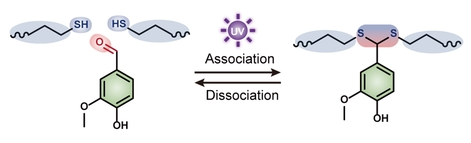 1744338450721216.png image.png