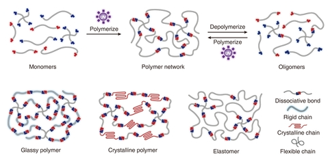 1744338464655326.png image.png