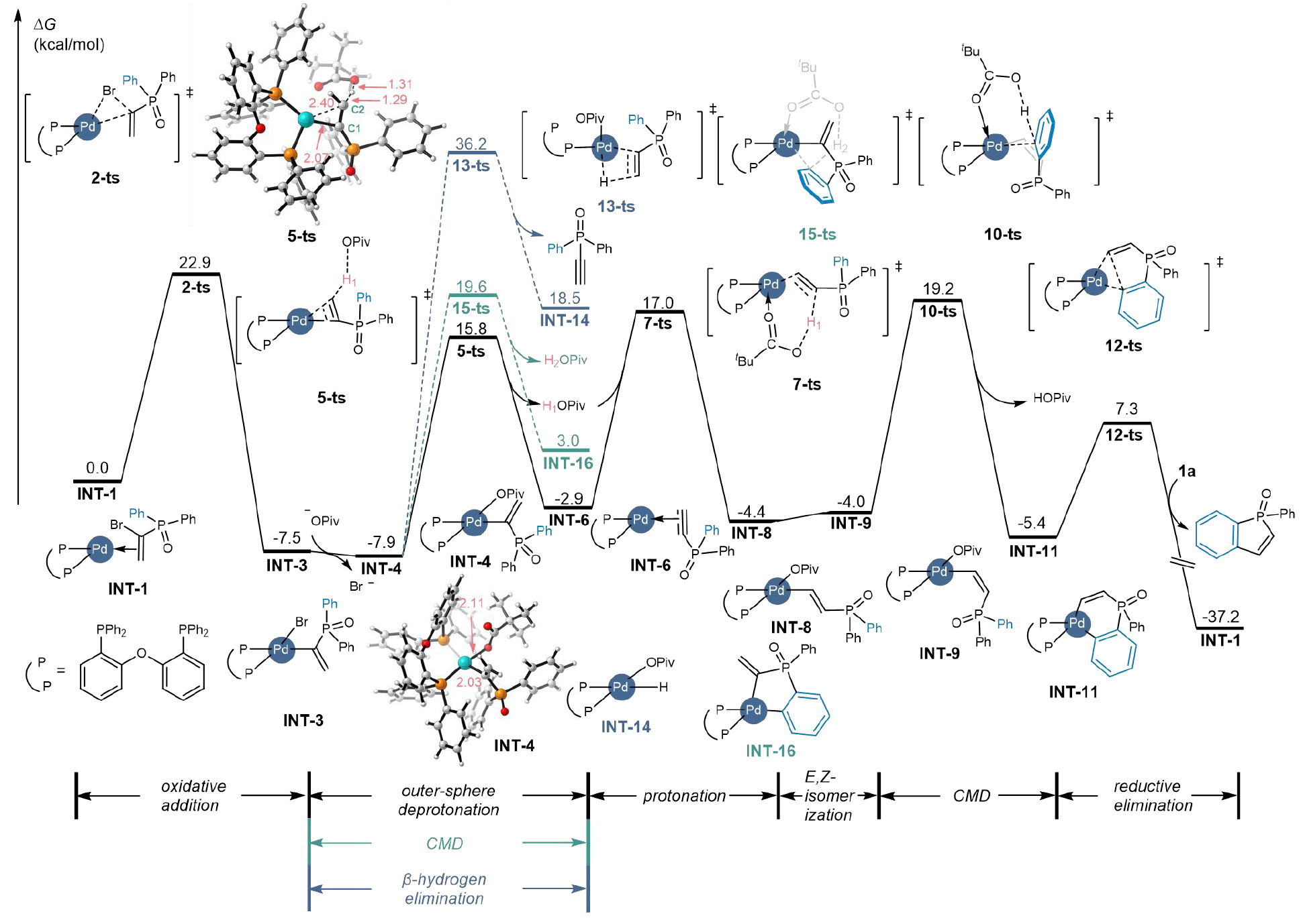 1744611679542493.jpg 5.jpg