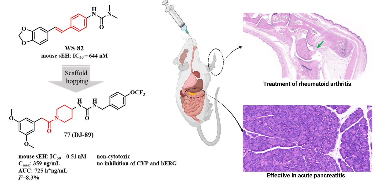 1745223378709190.png 01.png