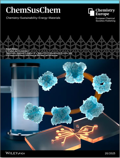 1762742616170344.png image.png