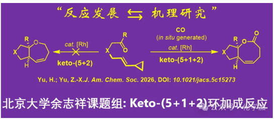 1767837196810104.png image.png