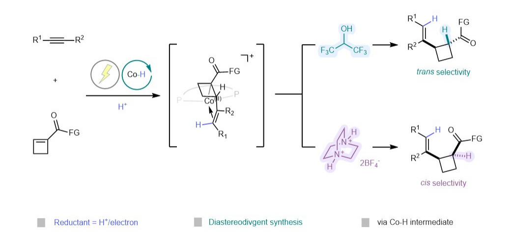 1767923165254370.png 圖片1.png