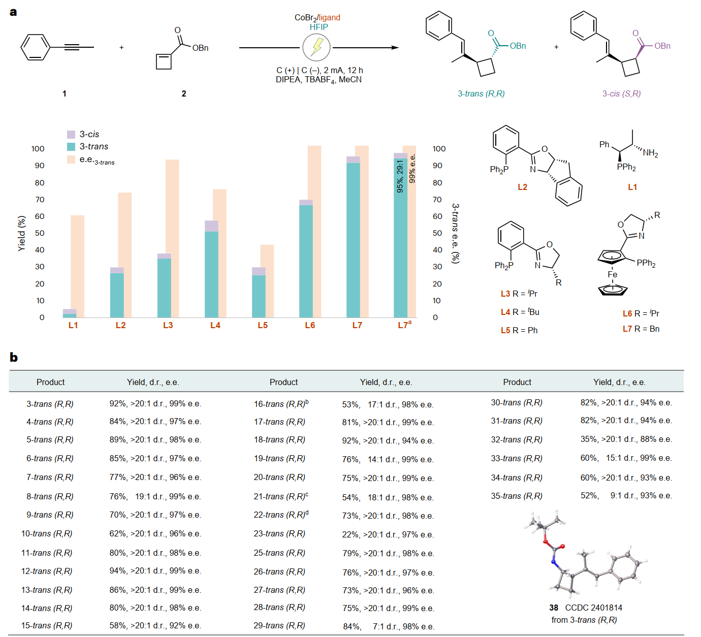 1767923198957219.png 圖片5.png