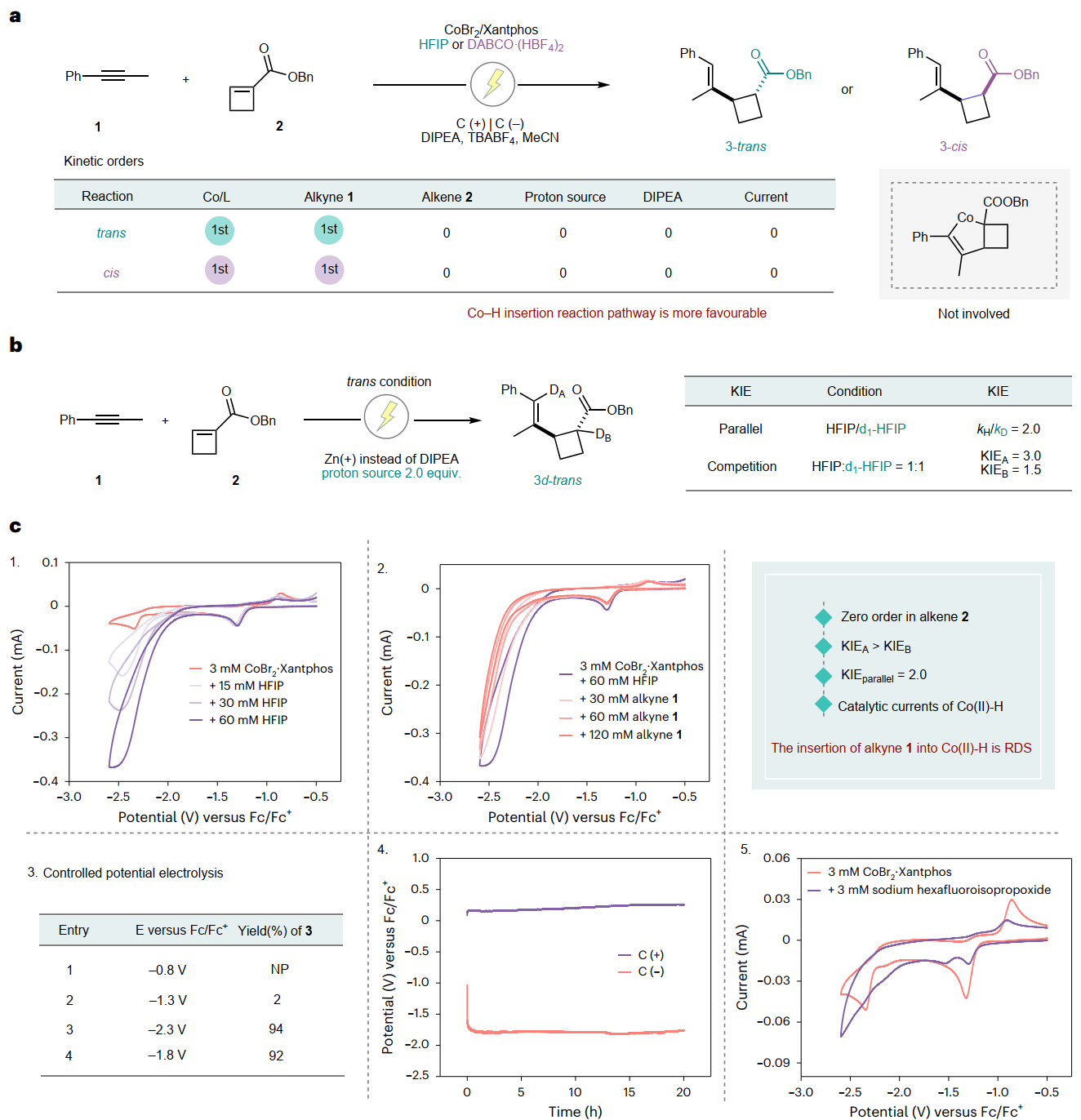 1767923210165600.png 圖片7.png